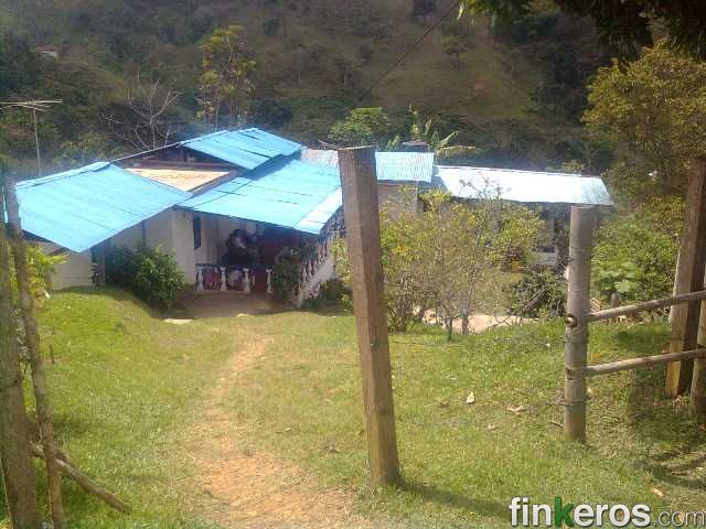 RIO FRIO EN MEDIA CANOA SE VENDE FINCA EN MEDIA CANOA 8 PLAZAS  - Finca en Riofrio, Valle del Cauca